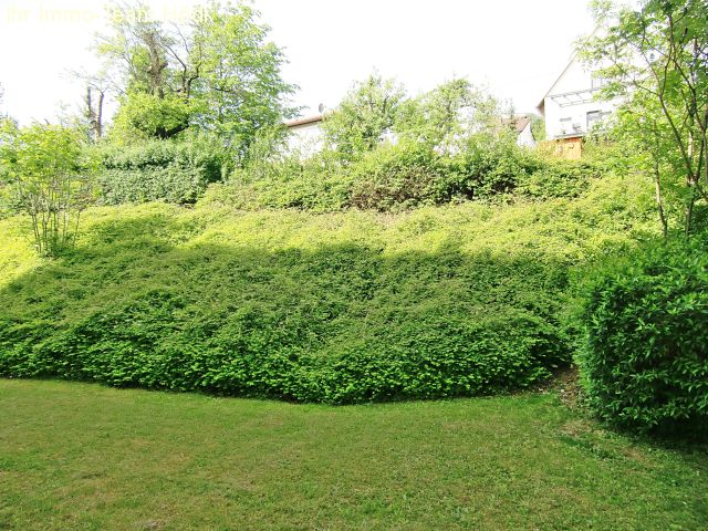 Singles pfullingen