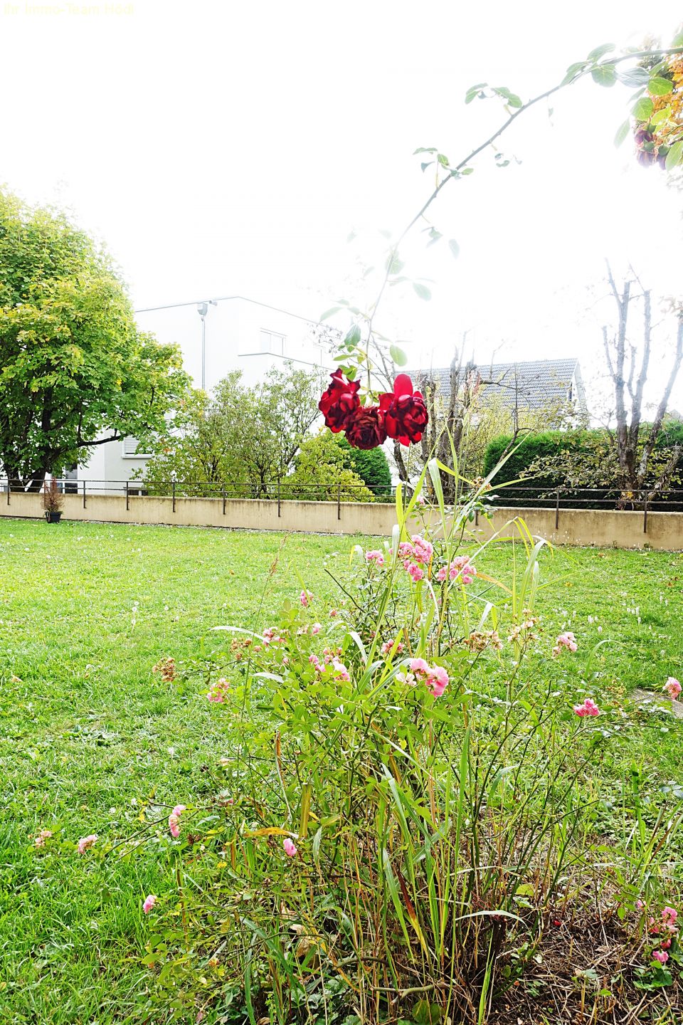 Reutlingen: Schöne Wohnung sucht neuen Mieter  Reutlingen: Schöne Wohnung sucht neuen Mieter
