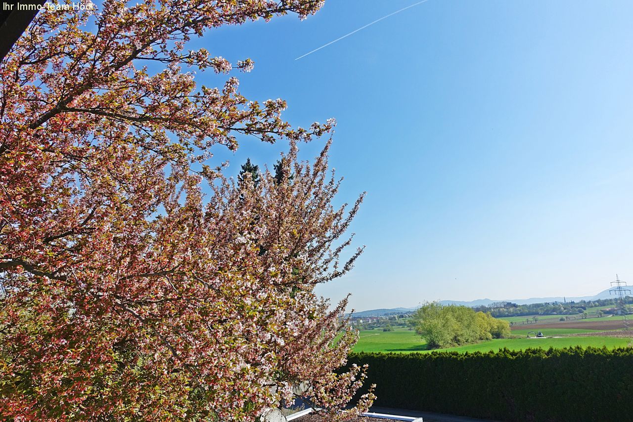 Reutlingen: Tolles Haus mit großem Garten sucht neuen Eigentümer  Reutlingen: Tolles Haus mit großem Garten sucht neuen Eigentümer