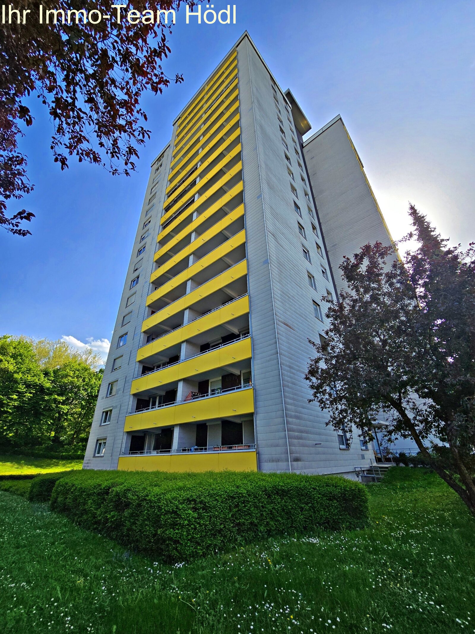 Große Wohnung mit Blick ins Grüne sucht neuen Eigentümer!!