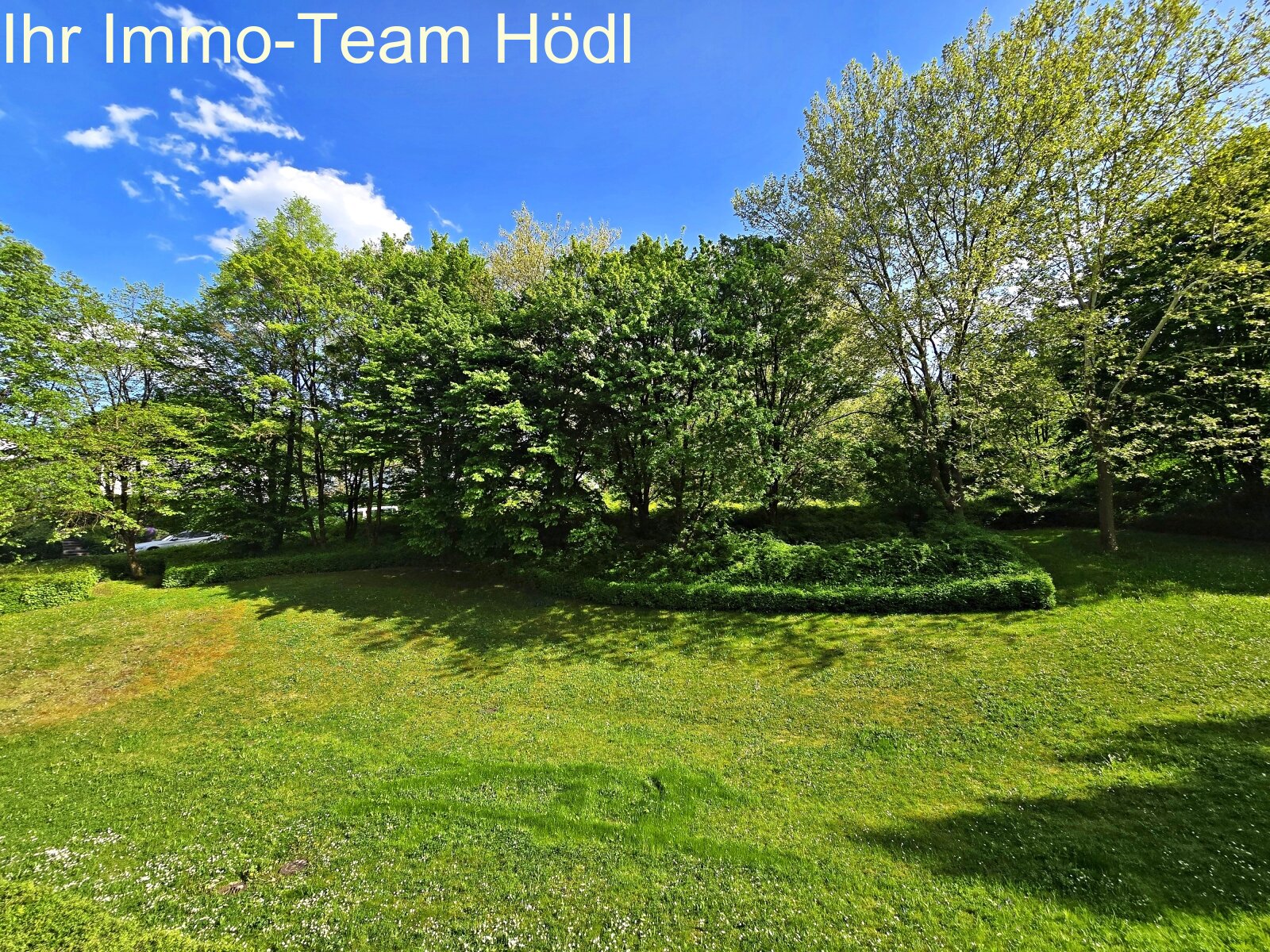 Große Wohnung mit Blick ins Grüne sucht neuen Eigentümer!!