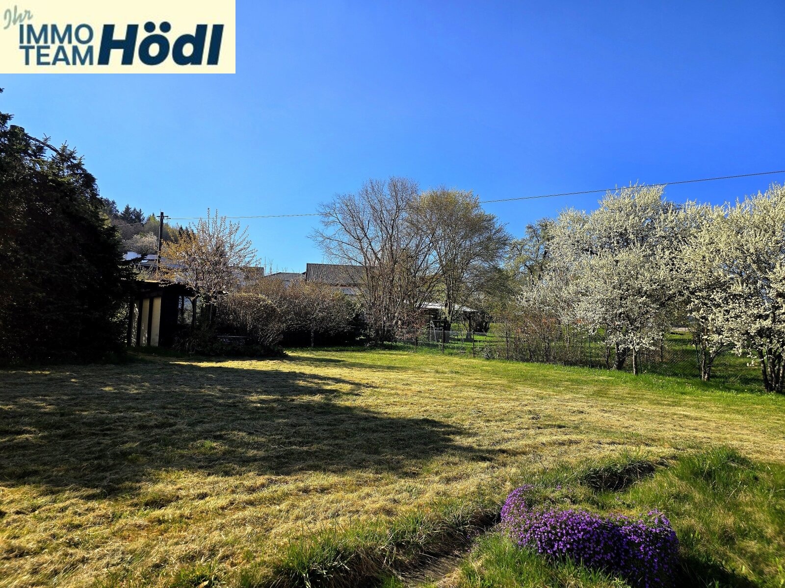 Bitz: Tolle Wohnung mit Dachterrasse und Garten sucht neue Mieter auch Haustiere (Hunde und Katzen) sind hier herzliche Willkommen!! 