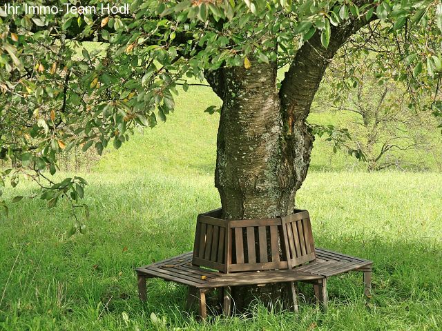 Hagelloch: Herrliche Streuobstwiese sucht neuen Besitzer  Hagelloch: Herrliche Streuobstwiese sucht neuen Besitzer