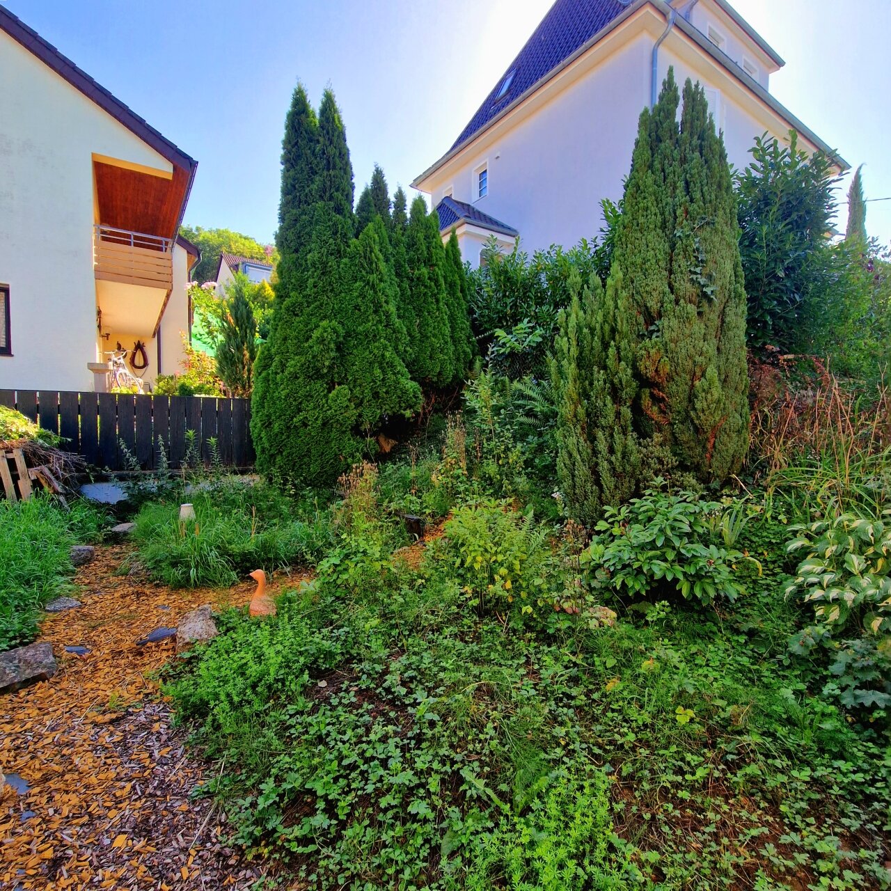 Gartenanteil hinter dem Haus
