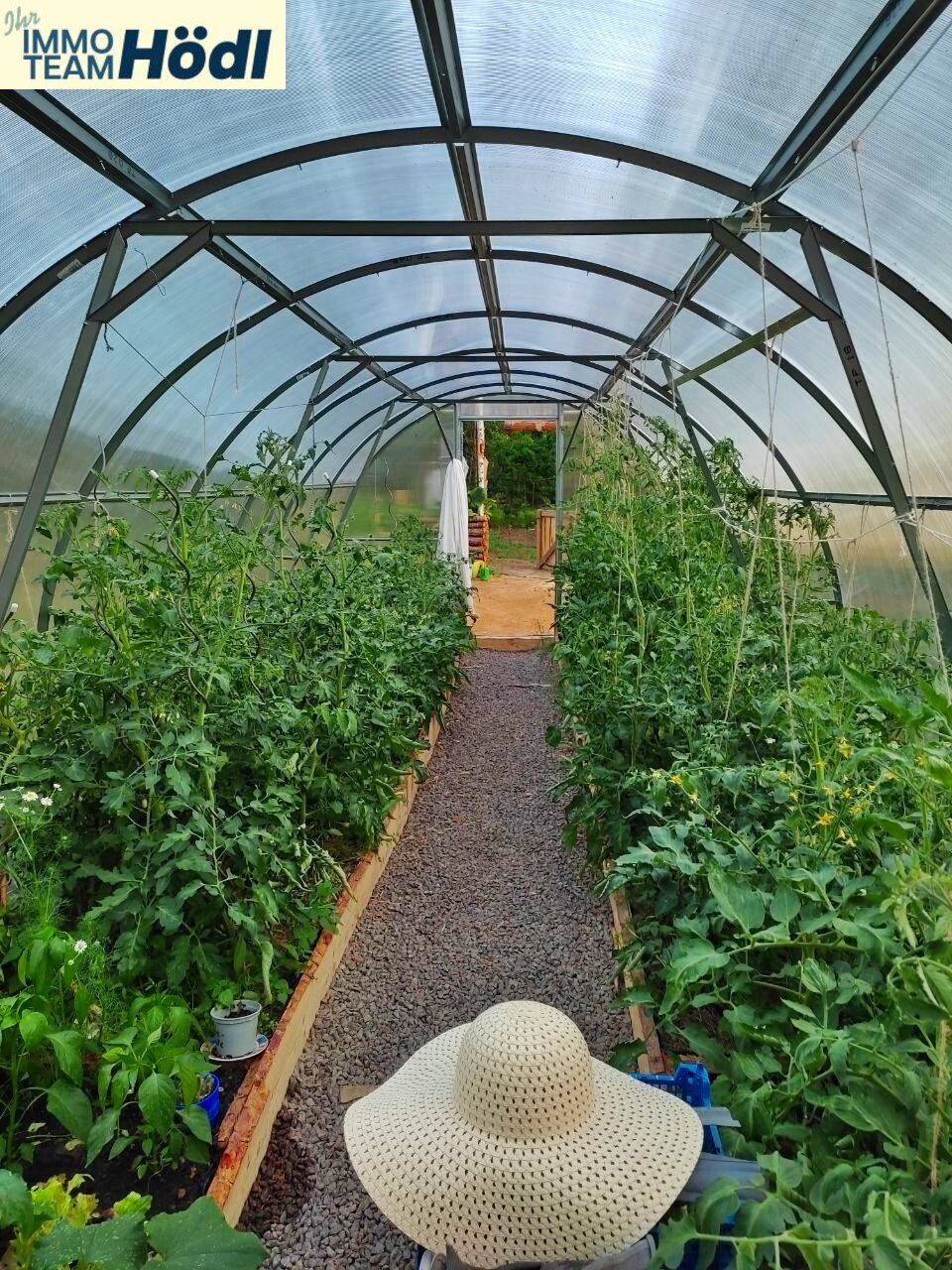 großes Gewächshaus 