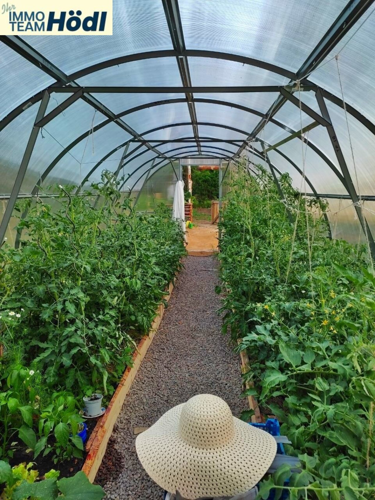 großes Gewächshaus 